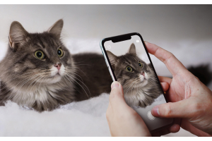 19 Things To Look Out For In A Smartphone Camera